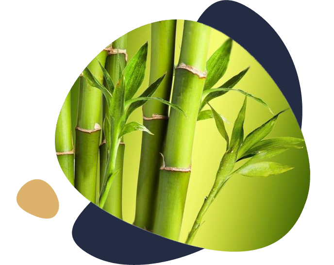 Professional Service